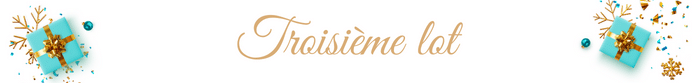 Troisième lot