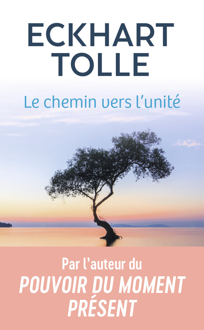 Le chat du bibliothécaire tome 1 - succès mortel